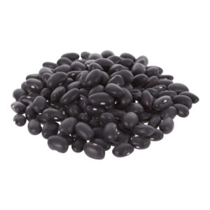 bean black turtle