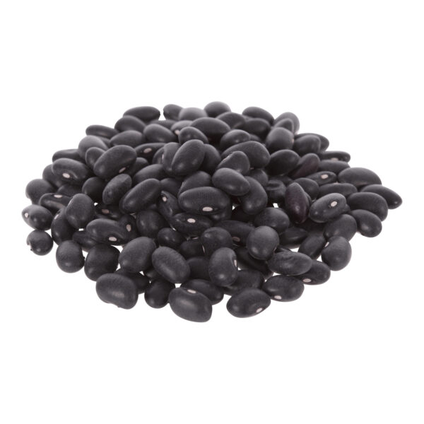 bean black turtle