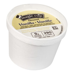 dessert frozen vanilla