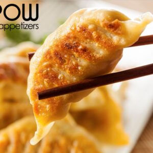 dumpling pork kim chi gyoza