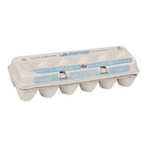 egg shell fresh large white retail