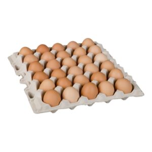 egg shell large free run