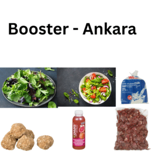 booster berlin